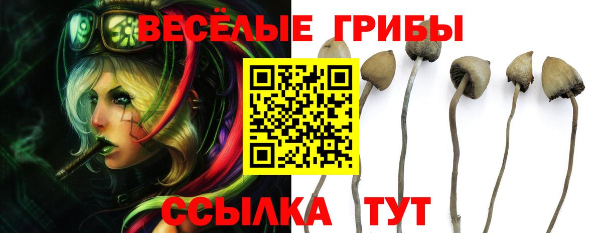 Галлюциногенные грибы ЛСД  Вход с VPN  Галлюциногенные грибы мухоморы  Биробиджан 